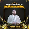 About Mere Mehboob Pyaare Masiha Song